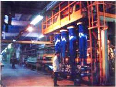 由意大利引進(jìn)短纖維生產(chǎn)線