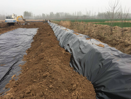 藕池防滲膜工程